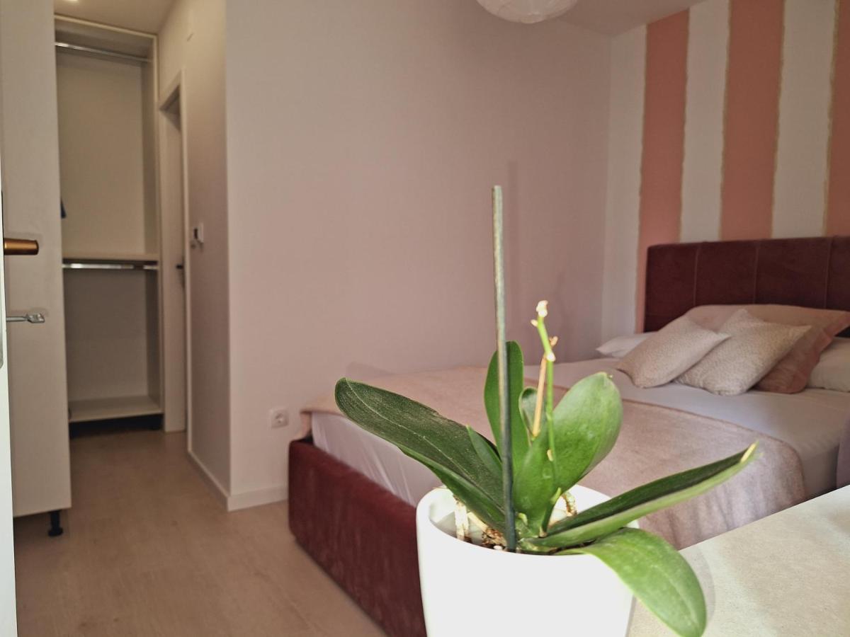 Apartman Maja **** Apartamento Šibenik Exterior foto